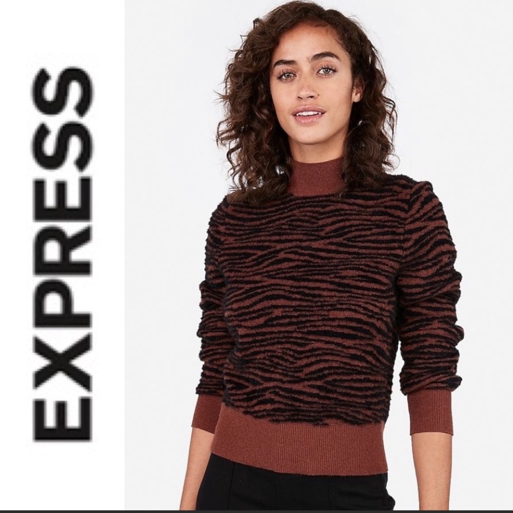 Brown and black Express sweater